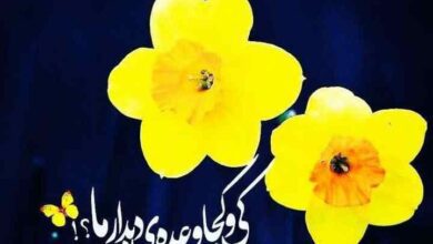 اعتقاد به امام زمان/ دانستنی های مهدوی